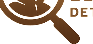 Logo magazynu